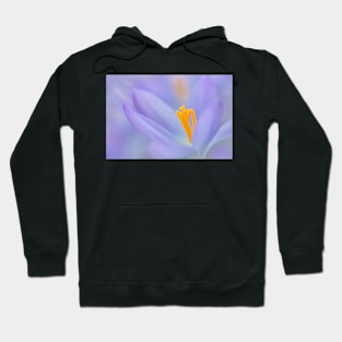 Crocus close-up Hoodie